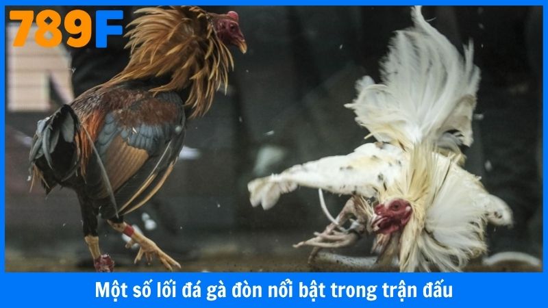 Một số lối đá gà đòn nổi bật trong trận đấu